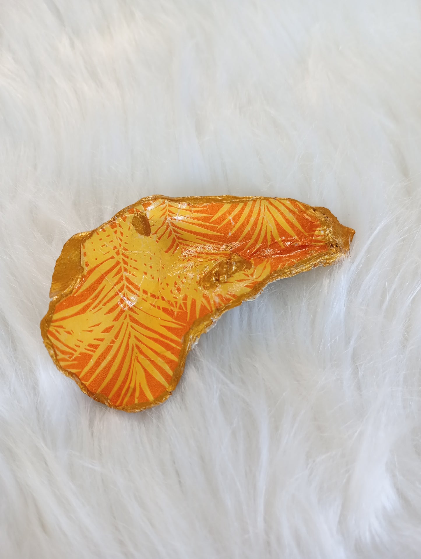 Coquille St Jacques/Huîtres - Tropiques